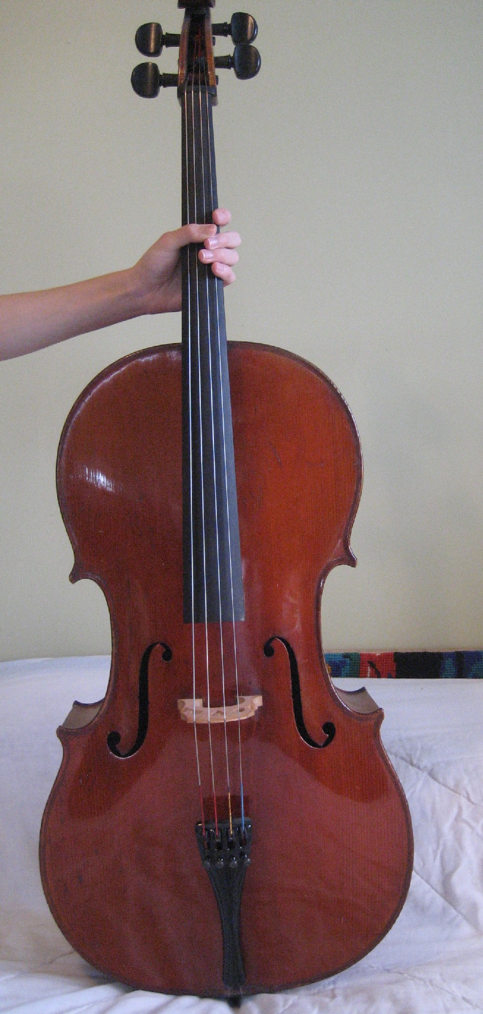Excelent one piece back cello